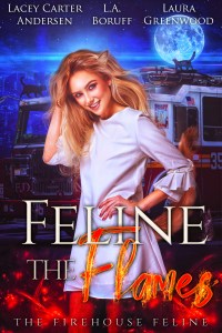 2.Feline the Flames - The Firehouse Feline book 2 v6